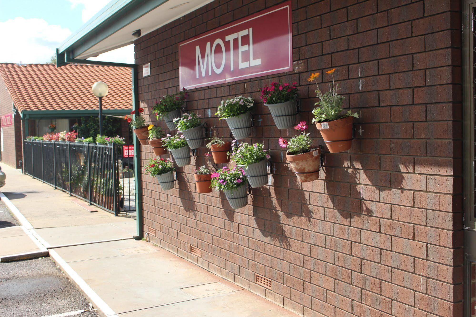 Pavlos Motel Ingle Farm Екстер'єр фото
